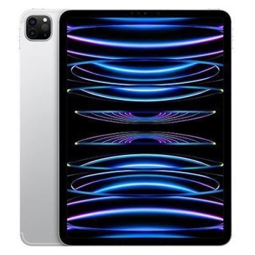 iPad Pro 11 (4th Generation) 2022